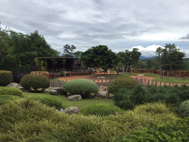 Однодневный тур в Хуа Хин Сафари и Приключительный парк (самостоятельное посещение)