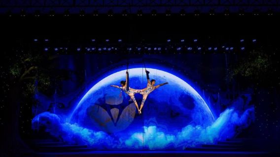 Da Nang: Charming Da Nang Show Ticket