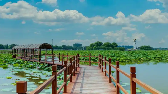 Linqing
