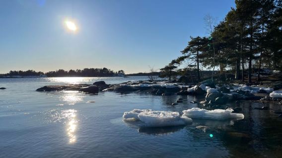 Helsinki: caminata por la naturaleza guiada por Uutela con refrigerio