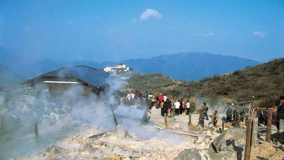 Da Tokyo a Hakone: Biglietti del treno e accesso gratuito a Hakone