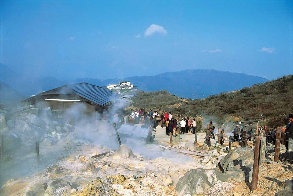 Da Tokyo a Hakone: Biglietti del treno e accesso gratuito a Hakone