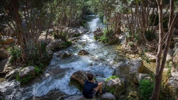 Ab Alicante: Algar-Wasserfall-Tour mit Transfer