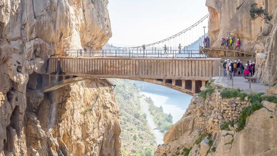 From Costa del Sol: Caminito del Rey Day Trip
