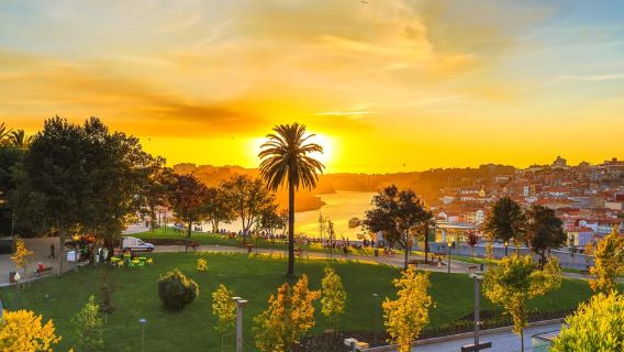 Porto: tour a piedi al tramonto con vino Porto e viste panoramiche