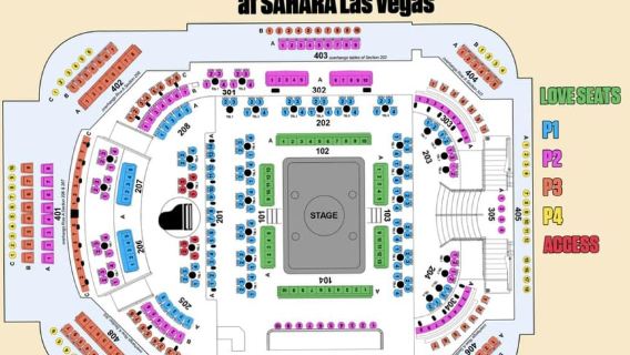 라스베이거스: 매직 마이크 라이브 티켓