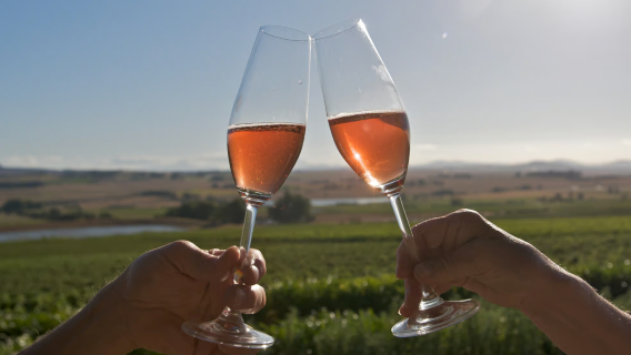 Small Group 1-day Tour of Drink Tasting in Cape Town, Featuring Four Major Wineries in Cape Town