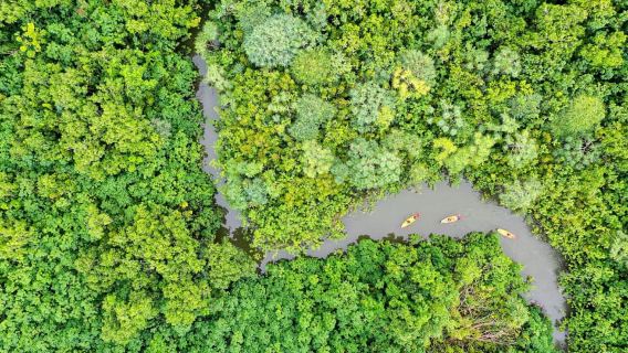 Oahu: Kahana Rainforest River 4-Hour Kayak Rental