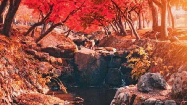 日本白濱町白良濱+圓月島+千疊敷+三段壁一日遊【中文包車】