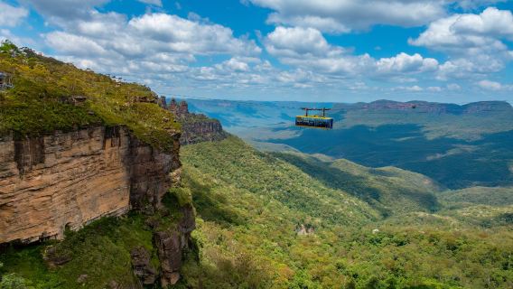 悉尼 藍山加動物園一日遊（精緻小團）