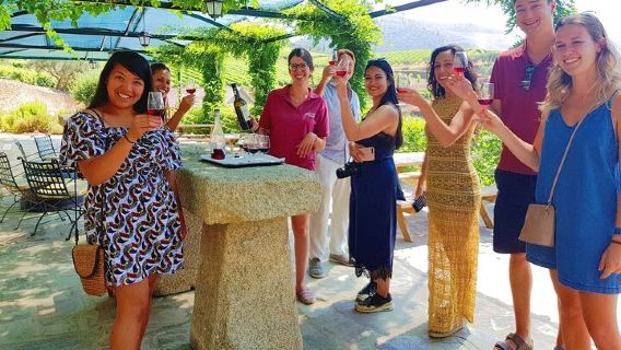Douro Valley for Wine Lovers with Visit to 4 Wineries and Lunch