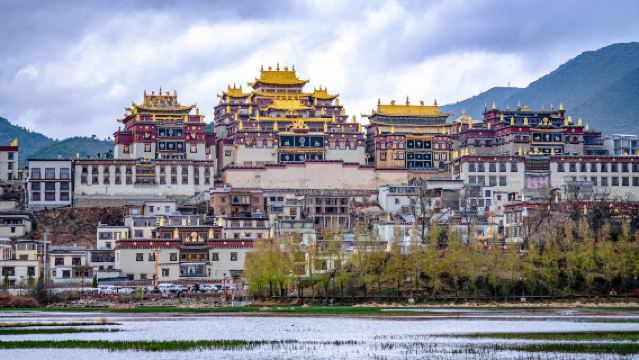 Private In-depth Day Tour: Dive into Songzanlin's Mystique&Potatso's Beauty in Shangri-la!