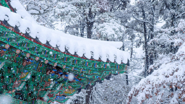 【從首爾出發】救仁寺+菩薩嶺+島潭三峯+丹陽韓國秘境一日遊
