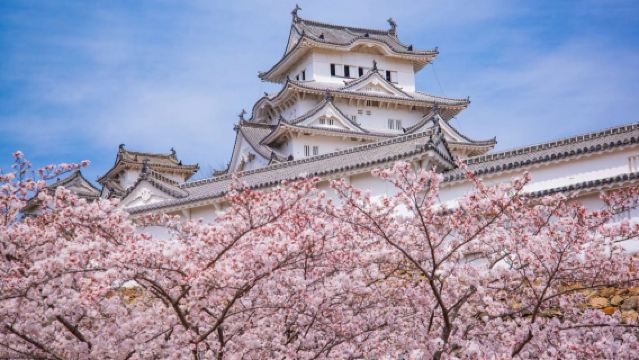 Spring Cherry Blossom Special Tour: Ono Sakura Riverbank Corridor + Himeji Castle + Koko-en + Mentaiko Park