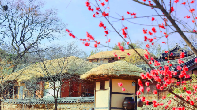 【釜山-慶州四季之旅】佛國寺+良洞村+大陵苑+東宮和月池