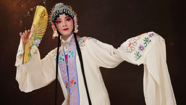 Suzhou Cultural Immersion Tour: Private Guided Tour and Kunqu Opera