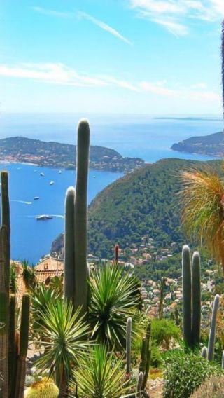 Day Tour of the French Riviera from Nice (Eze + Monaco + Antibes + Cannes)