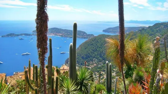 Day Tour of the French Riviera from Nice (Eze + Monaco + Antibes + Cannes)