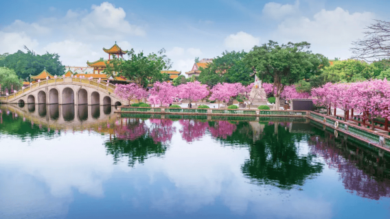 Guangzhou, Guangdong - professional Chinese guide | accompanying visit | in-park commentary interpretation service