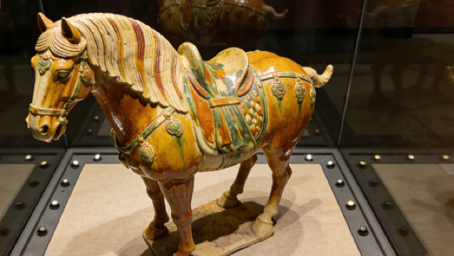 Tang Dynasty Culture "Shaanxi History Museum - Giant Wild Goose Pagoda - Grand Tang Mall"