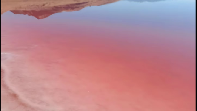 Salt Lake City Temple Square + Tabernacle + Muzium Sejarah Semula Jadi Utah + Taman Liberty