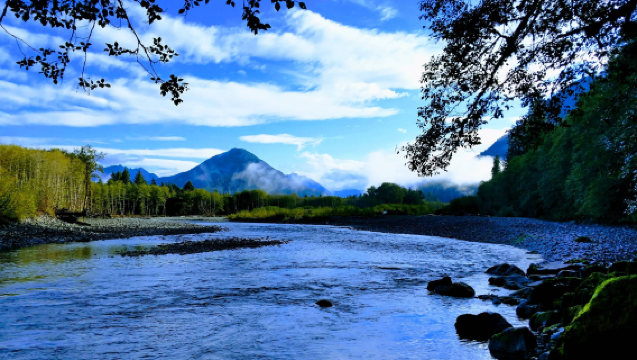 美國西雅圖-奧林匹克國家公園-行程可訂製【中文包車自由行】