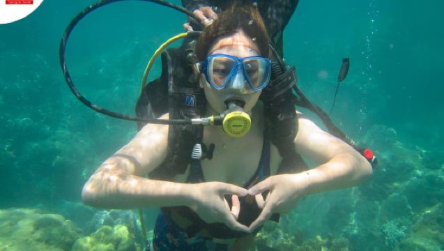 ทัวร์ดำน้ำลึกและดำน้ำตื้นที่เกาะจาม ต้นทางจากดานังหรือฮอยอัน