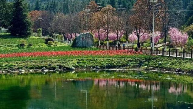 秦嶺四寶科學公園+秦嶺國家植物園一日遊【春明景和，邂逅美好】