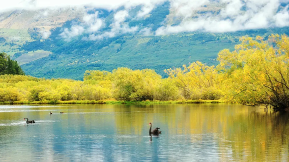 New Zealand Queenstown Tersuai | Tasik Wakatipu + Glenorchy + Ladang Lavender Wanaka