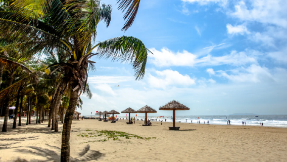 Lawatan Sehari Sewa Peribadi [Pantai Pertama Maoming + Kawasan Pelancongan Hutan Buluh Ma'an]