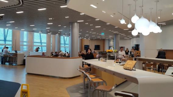 London Heathrow Airport/LHR international airport VIP lounge pass VIP lounge international departure waiting transit rest dining