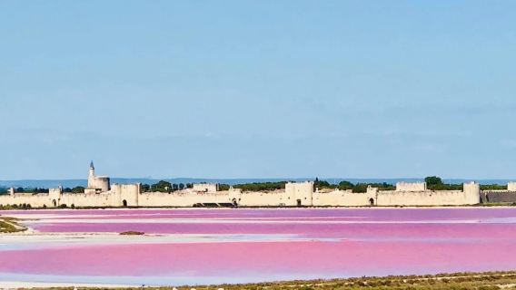 Marseille pergi-balik: Arena Arles + Tasik Garam Merah Jambu lawatan sehari sewaan peribadi [tidak termasuk tiket masuk]