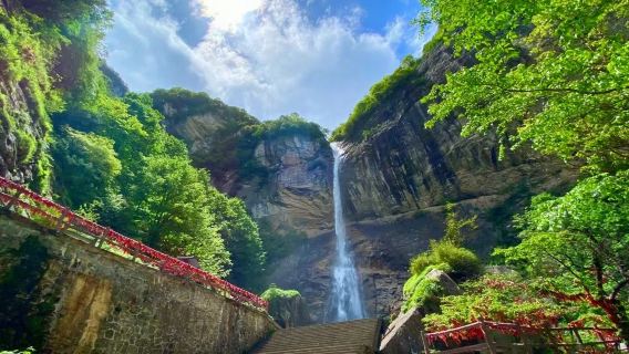 Lawatan Sehari Taman Hutan Taiping - Menikmati Lautan Bunga Ungu & Air Terjun Indah - Tanpa Risau [termasuk insurans kemalangan]