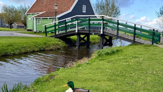 Lawatan Sehari Sewaan Peribadi di Amsterdam | Kampung Kincir Angin - Volendam - Edam | Tidak Termasuk Tiket Masuk