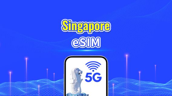 Singapore 5G eSIM | Dual Net | Daily/Total Data Package | 1–30 Days | 24-Hour Billing | QR Code