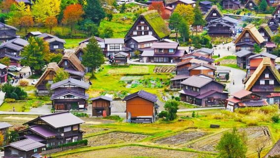Nagoya + Kampung Gassho Shirakawa-go + Hida Takayama lawatan sehari/pemandu berbahasa Cina + perkhidmatan hantar-jemput hotel + jadual perjalanan boleh disesuaikan