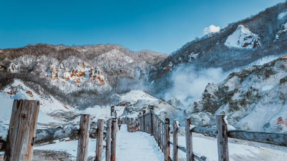 Lawatan sehari sewaan peribadi Hokkaido Jepun | Pengangkutan dari hotel | Perjalanan tersuai peribadi | Pemandu berbahasa Cina 10h