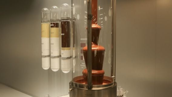 Perjalanan Santai Manis Switzerland | Kilang Coklat + Lorong Zaman Pertengahan lawatan sehari (tiket tidak termasuk)