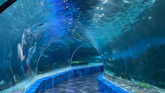 Manila: Visita guiada de 2 horas no Parque Oceânico de Manila