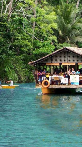 Bohol Chocolate Hills & Tarsier & Loboc River Cruise + Bee Farm Dinner + Firefly Night Tour