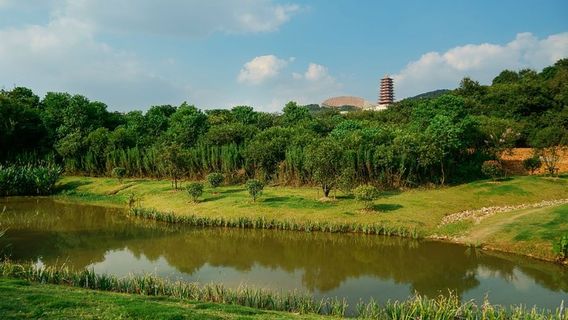 NanjingTours