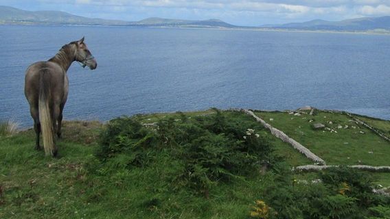 KillarneyTours