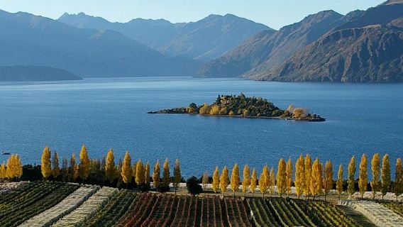 WanakaExperiences