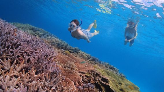 Atsumaru, a diving school specializing in beginners