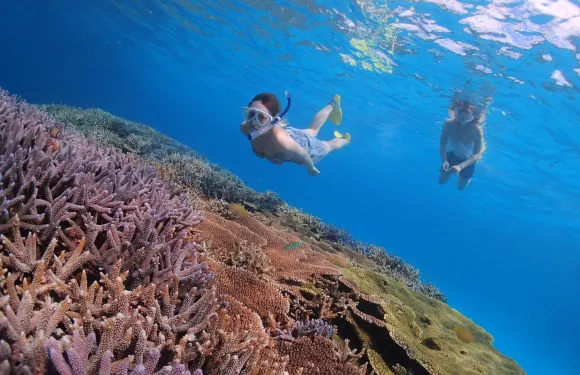 初學者專屬潛水學校聚集地