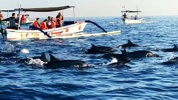 Bali: Delfinjagd in Lovina, Reisterrassen, Palast von Ubud und Markt von Ubud – Tagestour