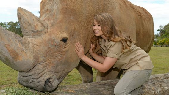 Australia Zoo: Entrance + Transfer from Brisbane