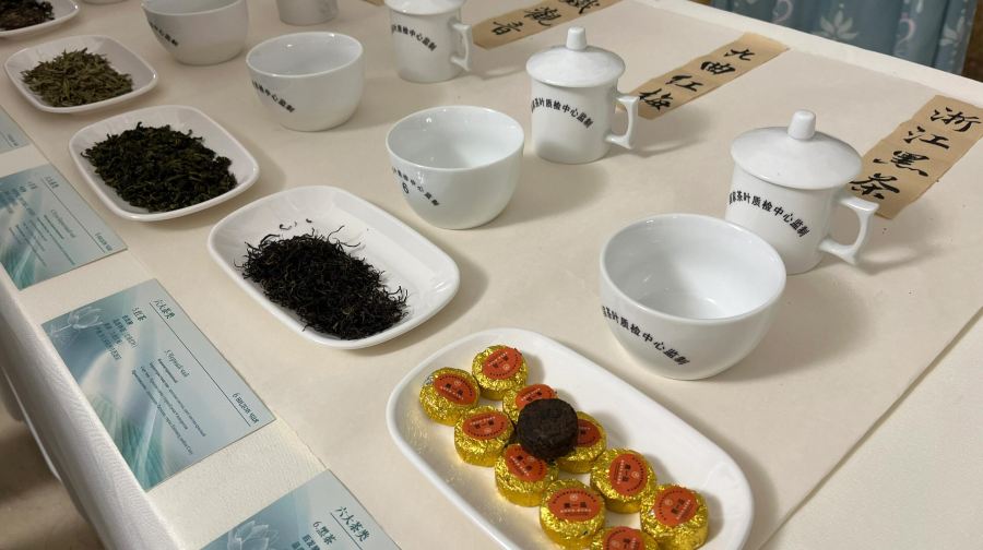俄羅斯莫斯科紅場+克里姆林宮+新聖女公墓+深度文化體驗遊一行