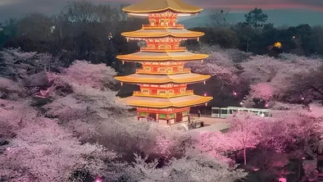 Muzium Wilayah Hubei + Universiti Wuhan + Menara Bangau Kuning + Pantai Sungai Hankou lawatan sehari @ pakej persendirian + tiket masuk