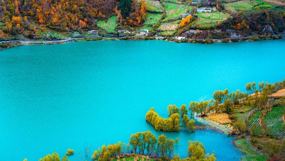 Depart from Chengdu: Ya'an-Mengding Mountain+Shenmulei one-day tour with private charter and Multilingual guide C